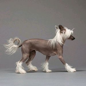 Meet your Posher, Debra